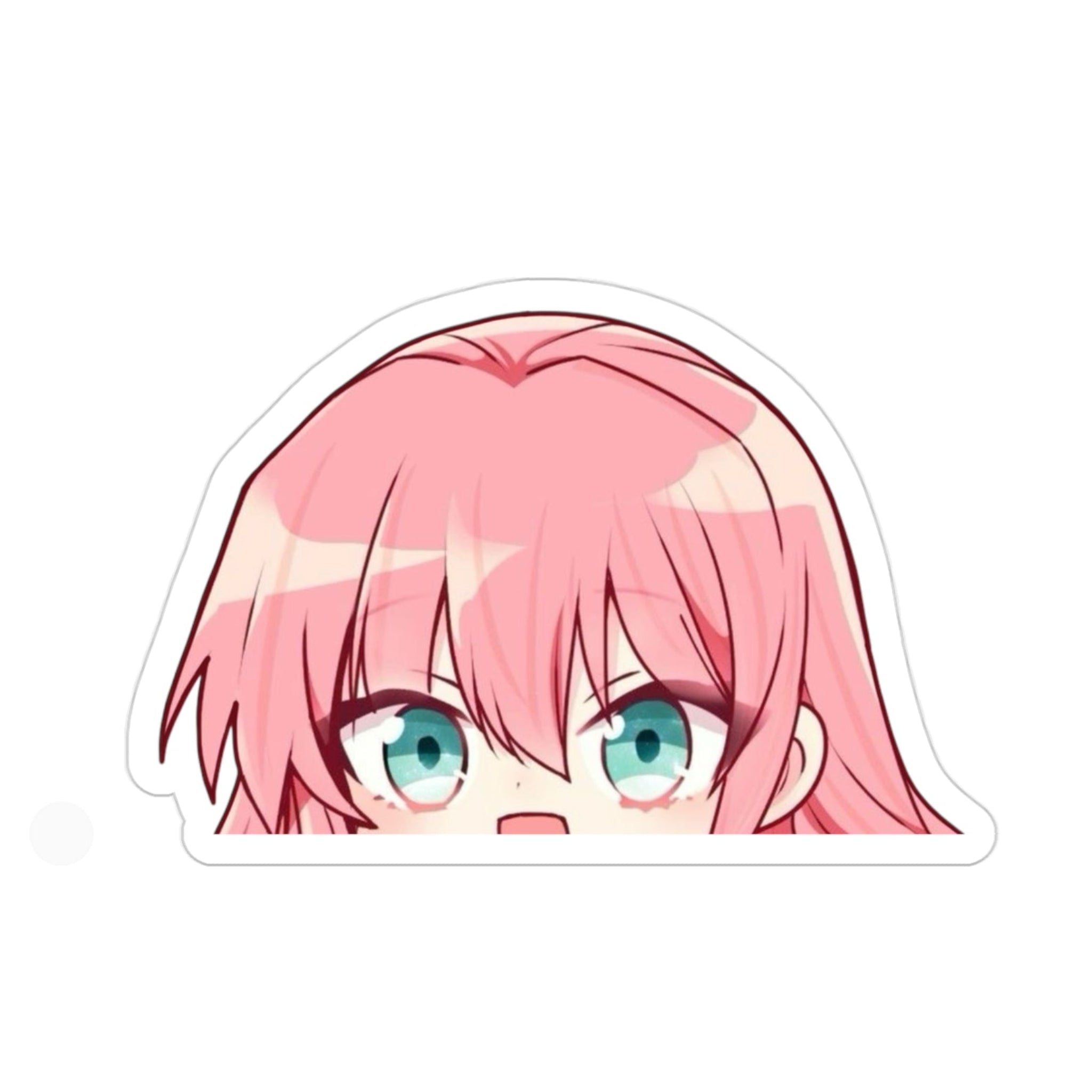 Rishe Peeker Transparent Outdoor Stickers